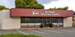 Northwest Veterinary Hospital - Seattle Veterinary Associates