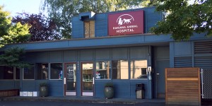 Ravenna Animal Hospital - Seattle Veterinary Associates