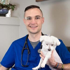 Greg Thompson - Seattle Veterinary Associates