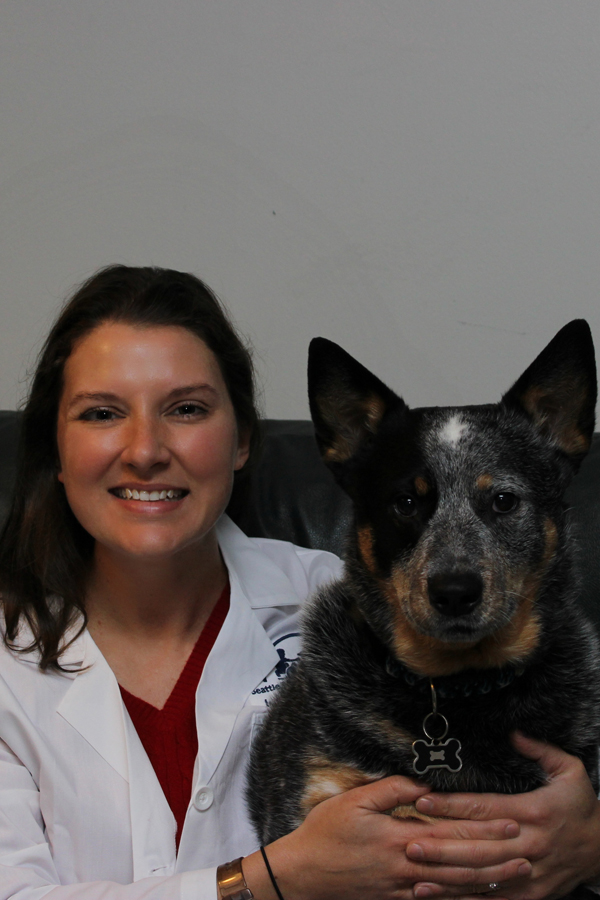 Ravenna Animal Hospital Seattle Veterinary Associates