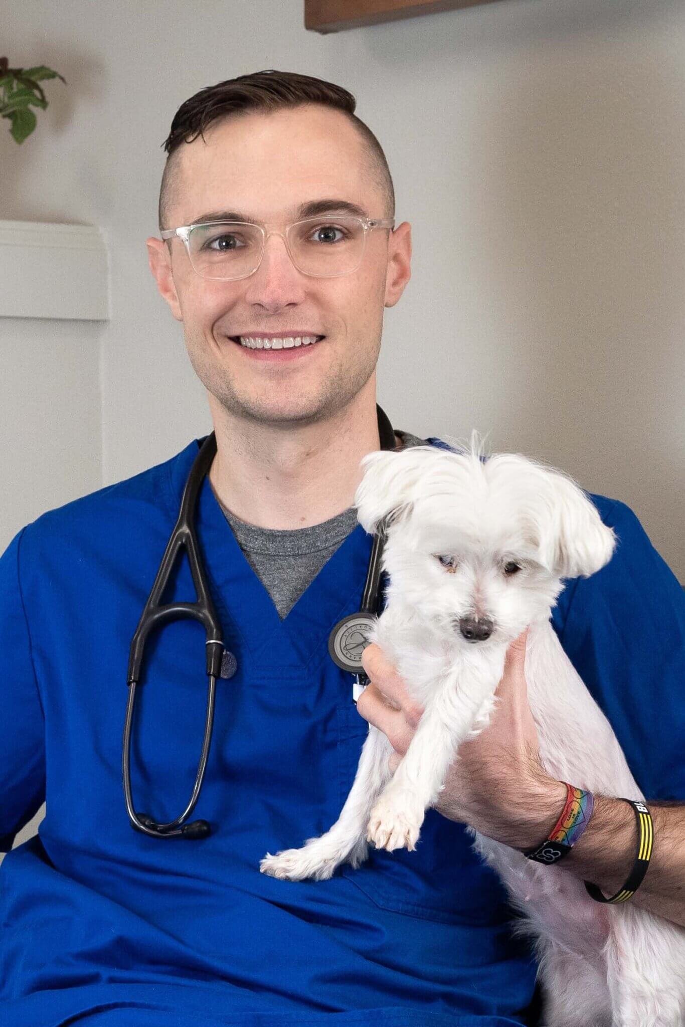 Ravenna Animal Hospital Seattle Veterinary Associates