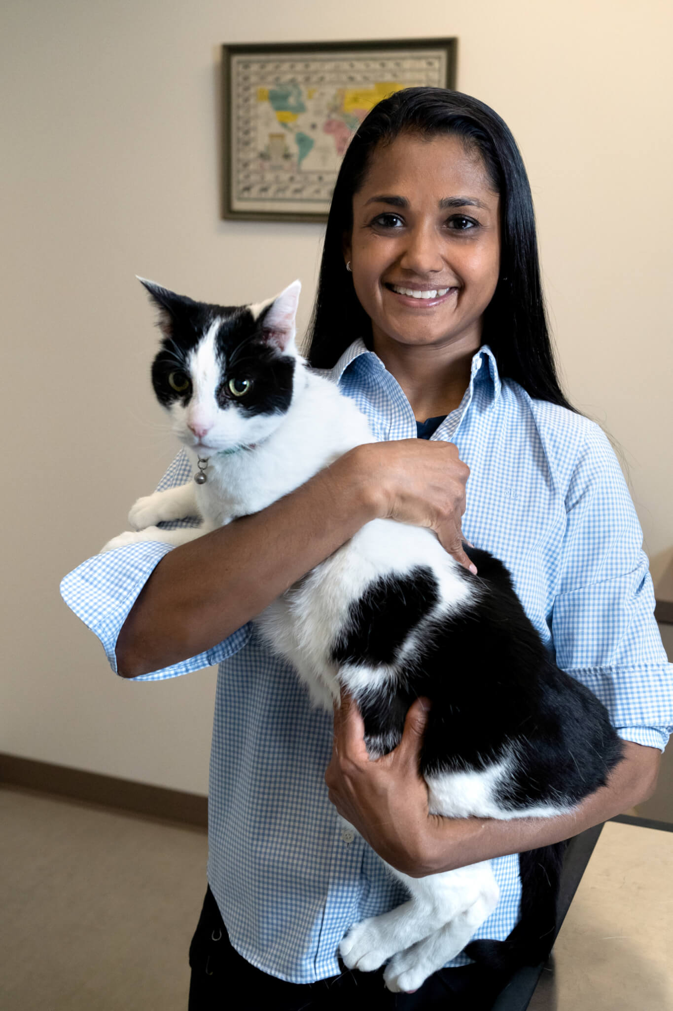 Veterinarians & Staff - Seattle Veterinary Associates