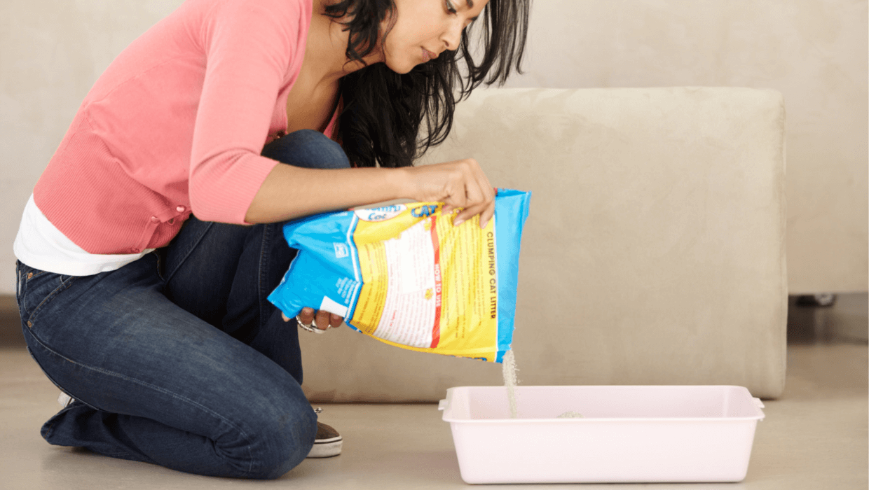 Woman filling litterbox with kitty litter