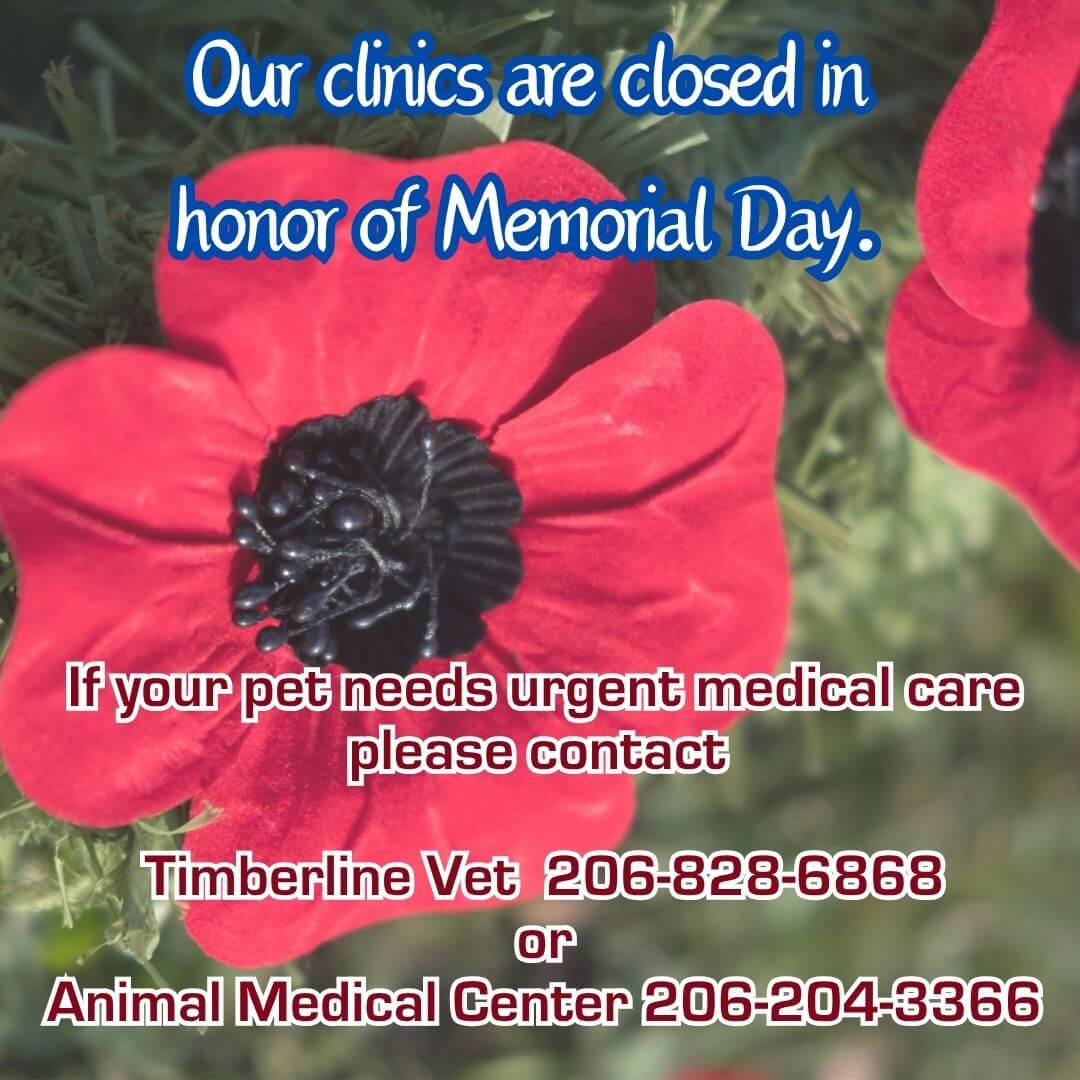 Our clinics are closed on Memorial day. If your pet needs urgent medical care please contact Timberline Vet at 2068286868 or Animal Medical Center 2062043366.