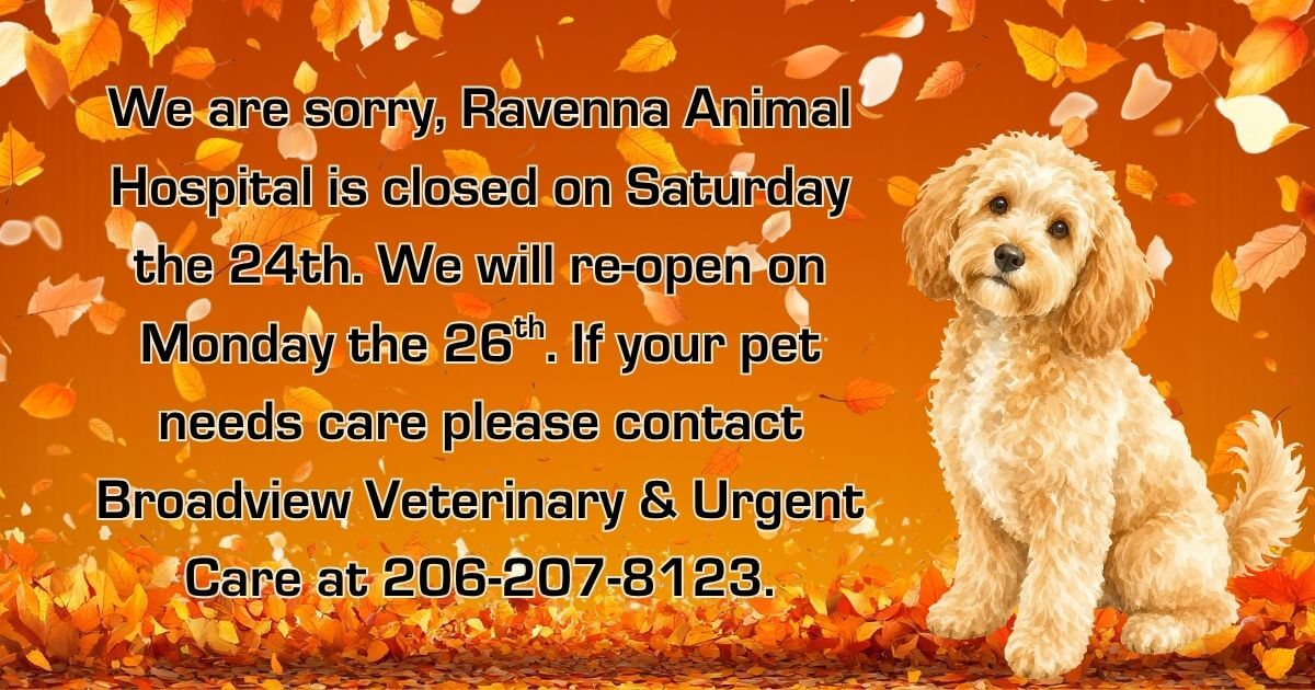 Ravenna Animal Hospital is closed on Saturday the 24th. We're back on Monday the 26th. If your pet needs care please contact Broadview Veterinary & urgent Care at 206-207-8123.